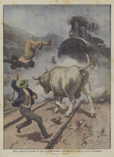 Vache enragée tuant un homme et ensuite percutée et écrasée par un train entre Lucques et Castelnuovo - Achille Beltrame