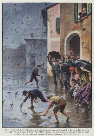 Des poissons tombés du ciel! Soulevés par une trombe marine formée au large - Achille Beltrame