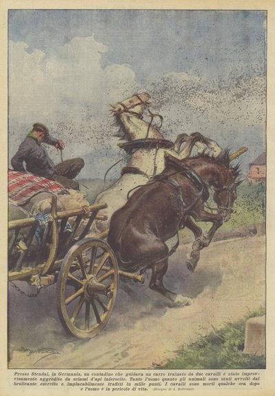 Près de Stendal, en Allemagne, un paysan qui conduisait une charrette tirée par deux chevaux a été - Achille Beltrame