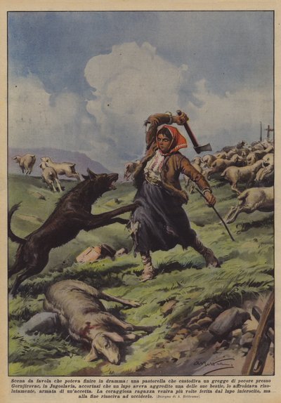 Scène de conte de fées qui aurait pu finir en drame, une bergère gardant un troupeau de moutons - Achille Beltrame