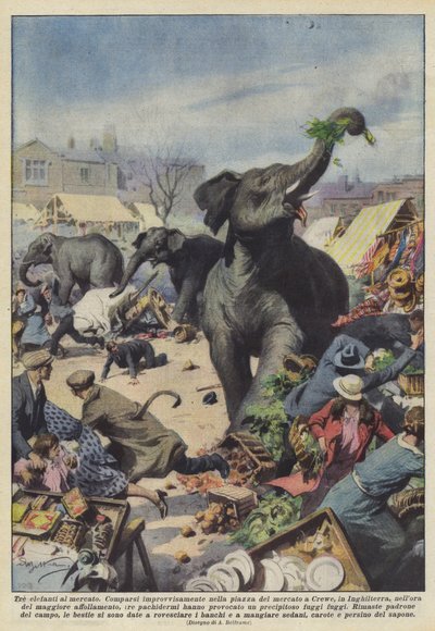 Trois éléphants au marché - Achille Beltrame