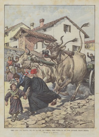 Humbles héros, une institutrice tuée par deux bœufs en furie en sauvant une petite fille, près de Brescia - Achille Beltrame