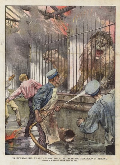 Un incendie dans le quartier des bêtes féroces au jardin zoologique de Berlin (lithographie en couleur) - Achille Beltrame
