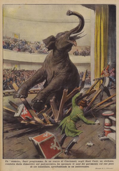 Un numéro hors programme - Achille Beltrame