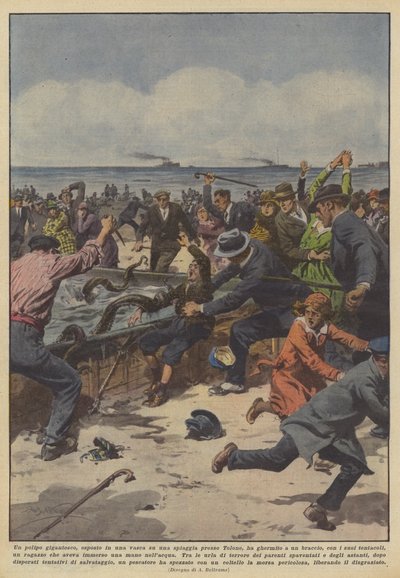 Un poulpe gigantesque, exposé dans un bassin sur une plage près de Toulon, a saisi - Achille Beltrame
