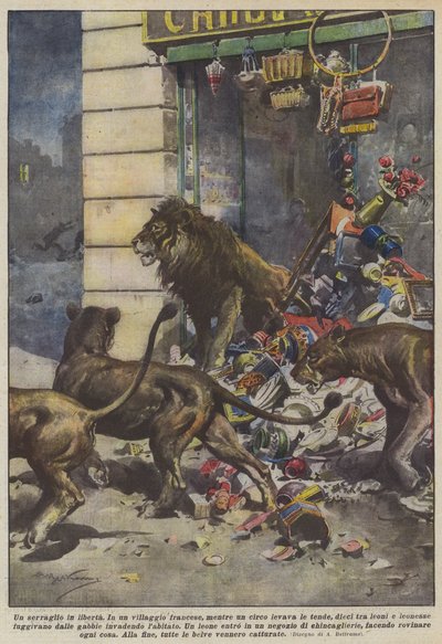 Un ménagerie en liberté - Achille Beltrame
