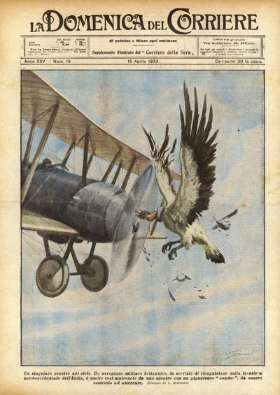 Un affrontement singulier dans le ciel - Achille Beltrame