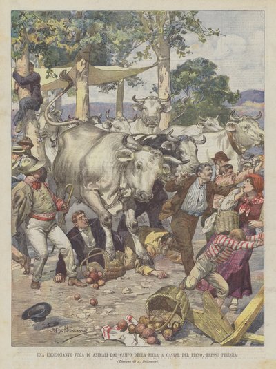Une fuite émouvante d