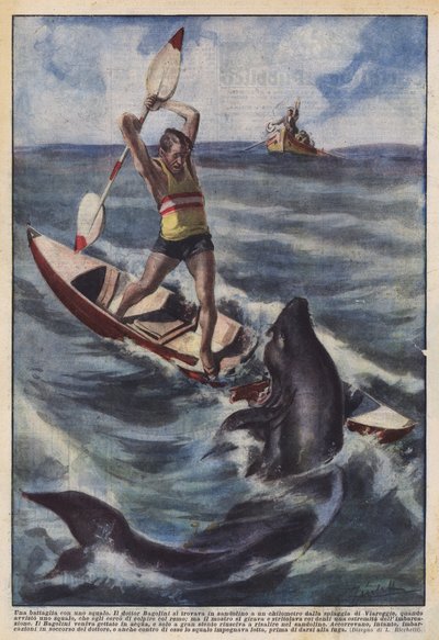 Bataille avec un requin - Achille Beltrame