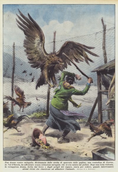 Une femme contre un aigle - Achille Beltrame