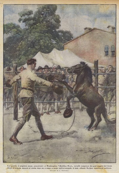 Un match de boxe sans précédent, à Washington, Battling Tony cheval champion des poids - Achille Beltrame