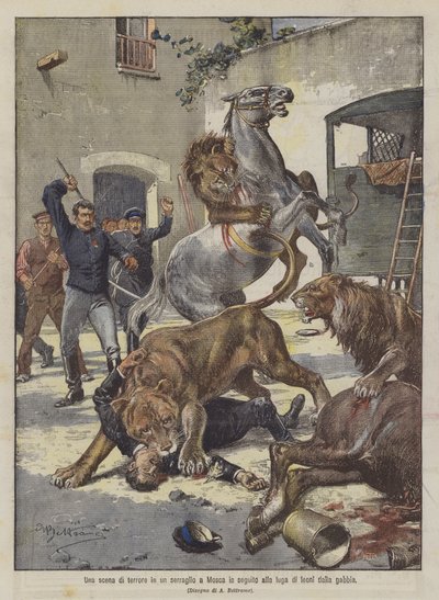 Une scène de terreur dans une ménagerie à Moscou suite à la fuite de lions de leur cage - Achille Beltrame