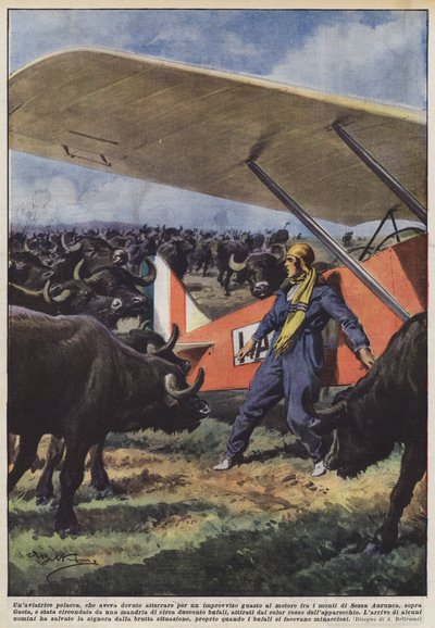 Une aviatrice polonaise, qui avait dû atterrir en raison d