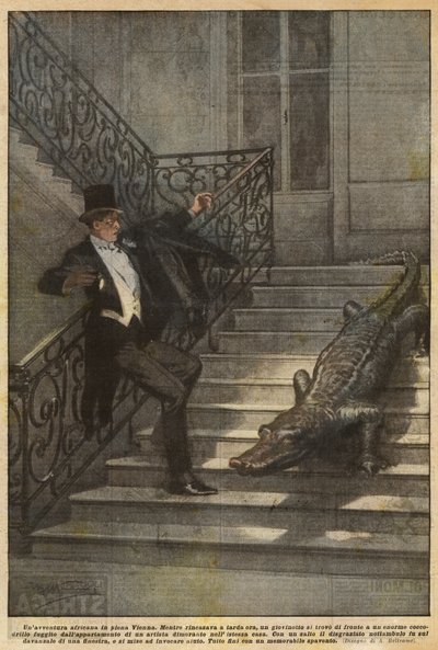 Une aventure africaine en pleine Vienne - Achille Beltrame
