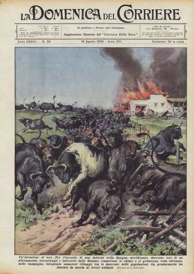 Une invasion de taureaux - Achille Beltrame