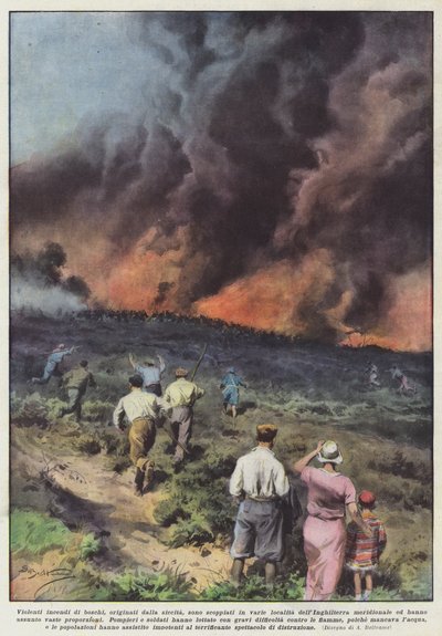 Violents incendies de forêts causés par la sécheresse dans plusieurs localités - Achille Beltrame