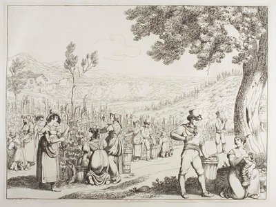 Les vendanges - Achille Pinelli