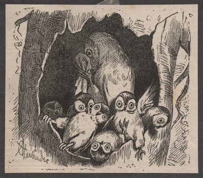 Chouette avec des petits, vers 1890 - Adolf Oberländer