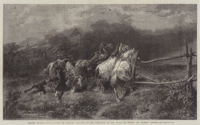 Chevaux s