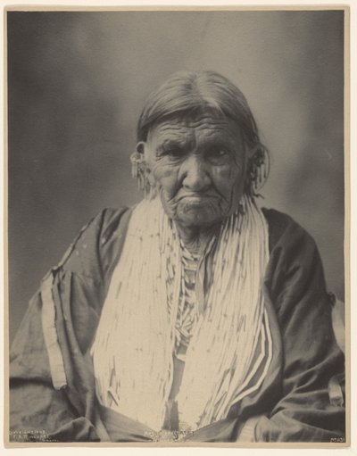 Mme Joseph Street, Winnebago - Adolph F. Muhr