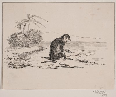 Le singe - Johan Adolph Kittendorff