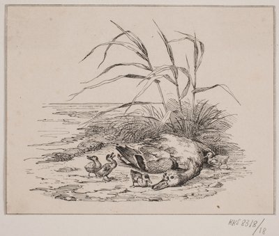 Le canard tué - Johan Adolph Kittendorff