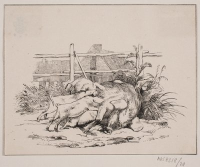 Les cochons - Johan Adolph Kittendorff