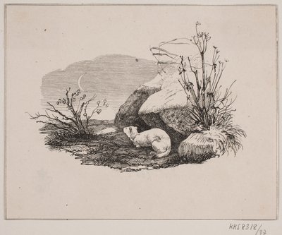 Le Chat médecin - Johan Adolph Kittendorff