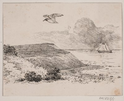 La mouette - Johan Adolph Kittendorff
