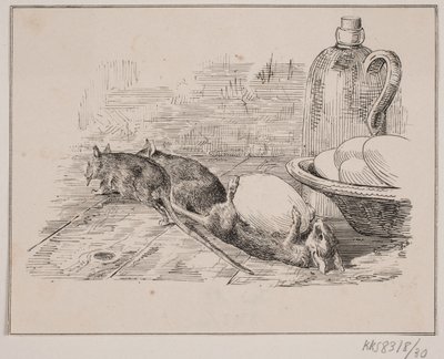 Les rats - Johan Adolph Kittendorff