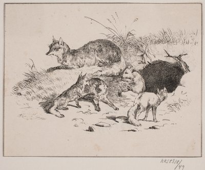 Le renard - Johan Adolph Kittendorff