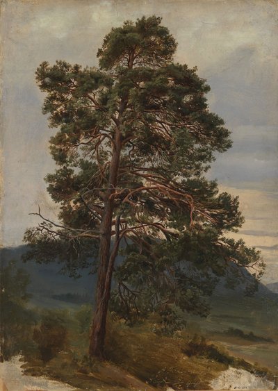  - Adolph Tidemand