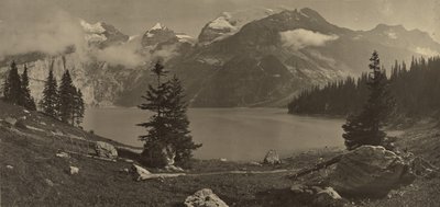 [Paysage alpin] - Adolphe Braun