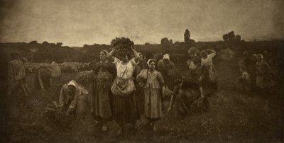 Appel aux glaneurs - Adolphe Braun