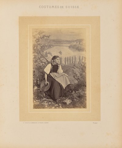 Canton de Schaffhouse - Adolphe Braun