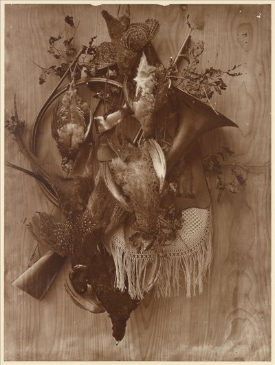 Faisans et tétras - Adolphe Braun