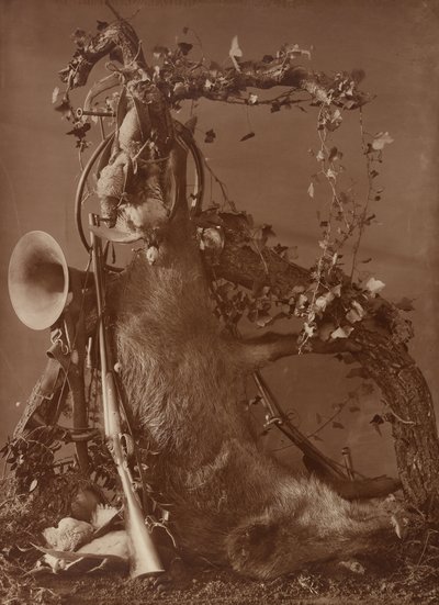 Nature Morte d