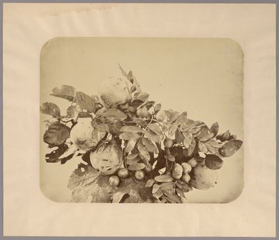 Nature morte aux coings et aux baies - Adolphe Braun