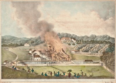 La destruction du domaine de Roehampton dans la paroisse de St. James en janvier 1832, 1833 - Adolphe Duperly
