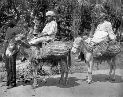 En route vers la prison, Jamaïque, vers 1905 - Adolphe Duperly and Son