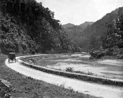 Route vers Bog Walk, Jamaïque, c1905 - Adolphe Duperly and Son