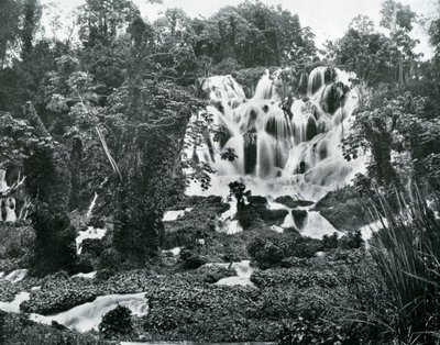 Chutes de la rivière Roaring, Jamaïque, vers 1905 - Adolphe Duperly and Son