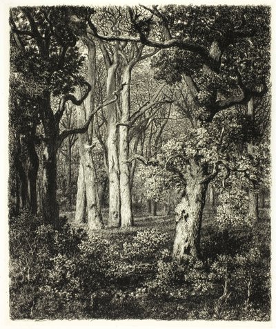 Vieux chênes à Bas Bréau - Adolphe Martial Potemont