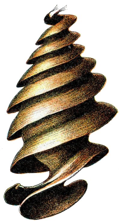 Étui d