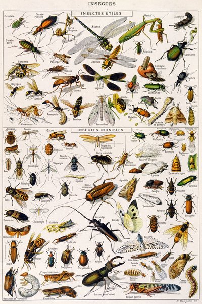 Illustration d