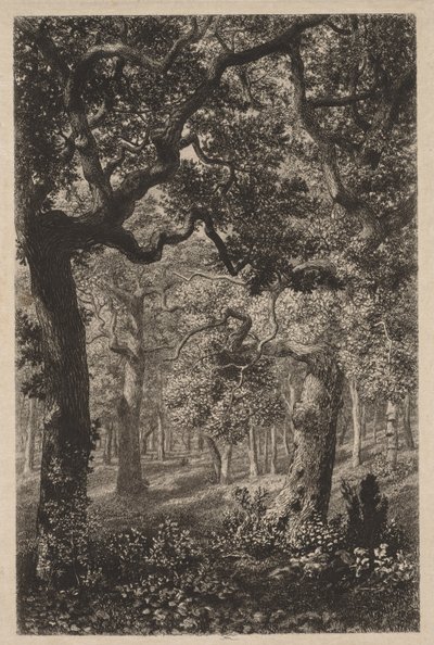 Dans les bois - Adolphe Théodore Jules Martial Potémont