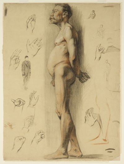 Dessin de vie d