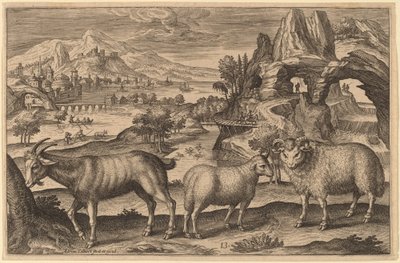 Une chèvre, une brebis et un bélier - Adriaen Collaert