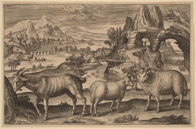 Une chèvre, une brebis et un bélier - Adriaen Collaert