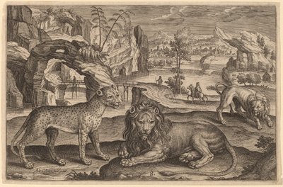 Un léopard et deux lions - Adriaen Collaert